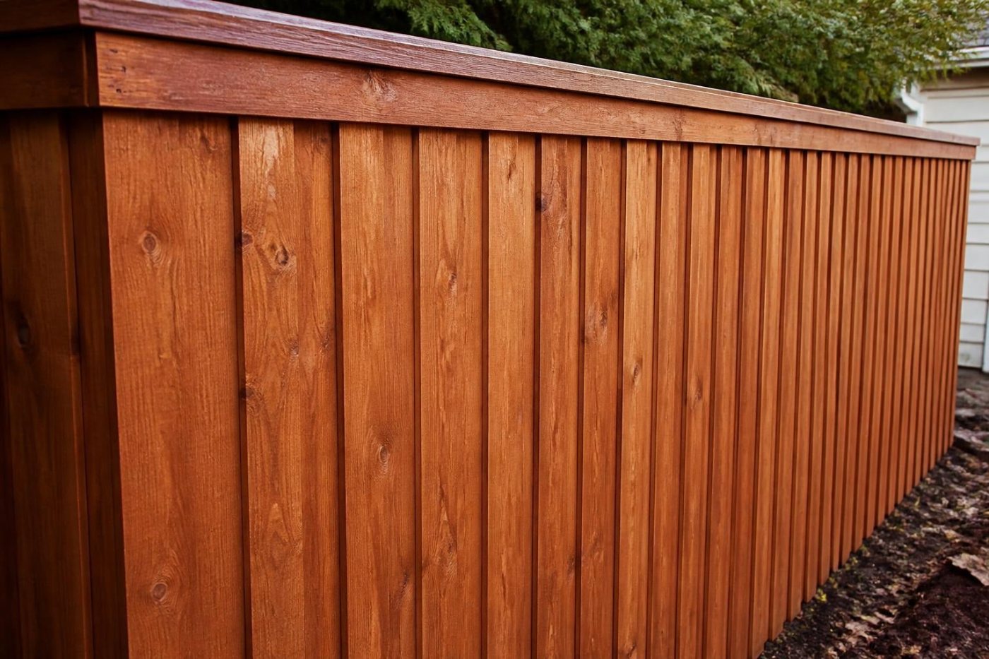 New stained board-on-board cedar fence